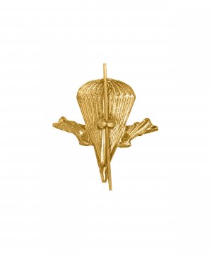 Эмблема ВДВ &mdash; 2