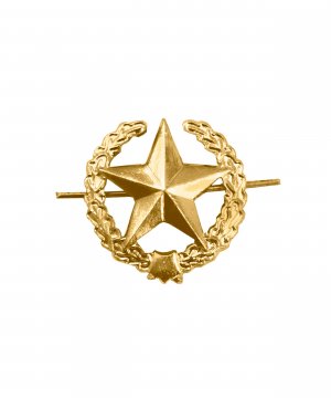 Превью Эмблема ОВ звезда желтая металлическая &mdash; 1