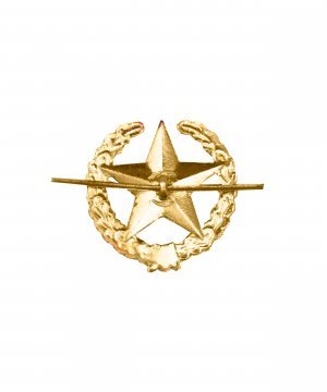 Превью Эмблема ОВ звезда желтая металлическая &mdash; 2