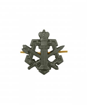 Превью Эмблема ФСИН металлическая зеленая &mdash; 1