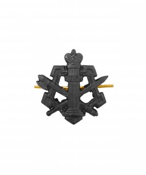 Превью Эмблема ФСИН металлическая черная &mdash; 1