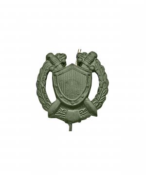 Превью Эмблема юстиции металлическая зеленая &mdash; 1