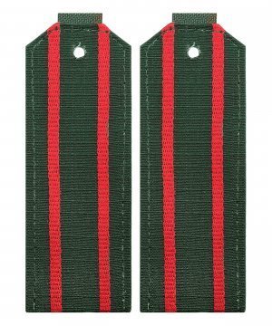 Превью Погоны офисные два просвета &mdash; 1