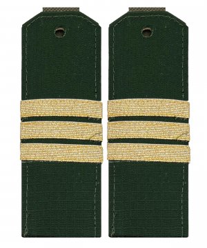 Погоны офисные сержант &mdash; 1