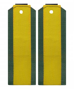 Превью Погоны офисные старшина &mdash; 1