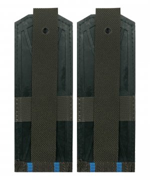 Превью Погоны ВДВ два просвета &mdash; 2