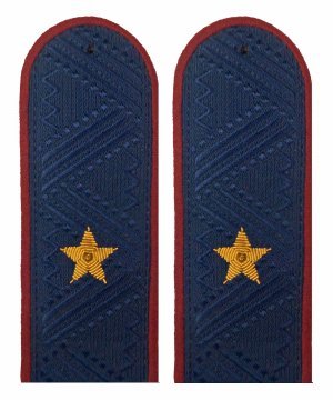 Превью Погоны ФСИН генерал-майор на китель &mdash; 1