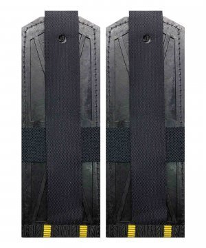 Превью Погоны ВМФ два просвета &mdash; 2