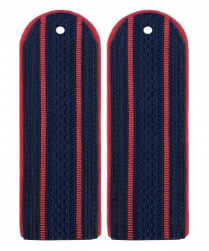 Погоны полиции китель два просвета картонные &mdash; 1