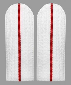 Превью Погоны полиции белые один просвет картонные &mdash; 1