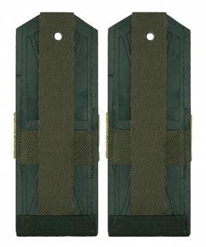 Погоны офисные старший сержант &mdash; 2