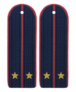 Превью Погоны полиции китель картонные лейтенант золото &mdash; 1