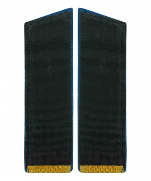 Превью Погоны ВДВ парадные длинные рядовой &mdash; 2