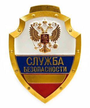 Превью Нагрудный знак служба безопасности триколор &mdash; 1