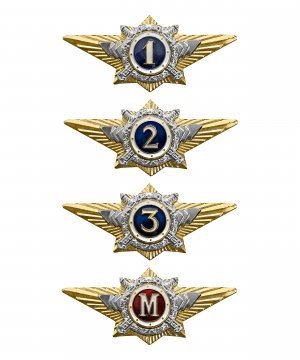 Значки классности МВД командного состава &mdash; 1