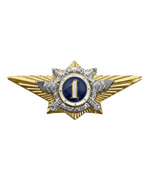 Значки классности МВД командного состава &mdash; 2