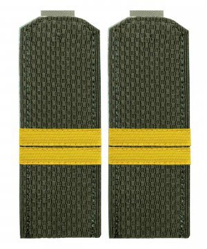 Превью Погоны китель ВС младший сержант &mdash; 1