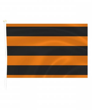 Превью Георгиевский флаг с древком 20*30 &mdash; 1