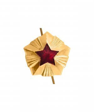 Звезда на погоны Таможня 20 мм &mdash; 1