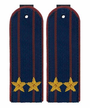 Превью Погоны ФСИН подполковник картон &mdash; 1