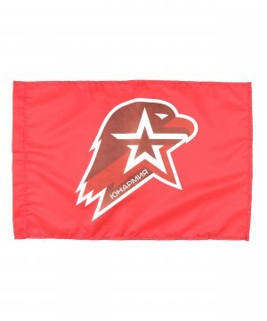 Превью Флаг Юнармии 40*60 &mdash; 1