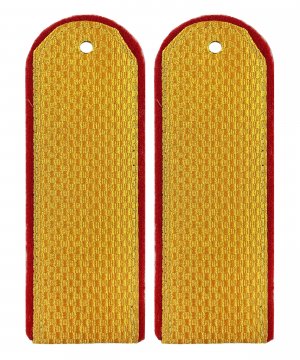 Погоны парадные полиции рядовой &mdash; 1