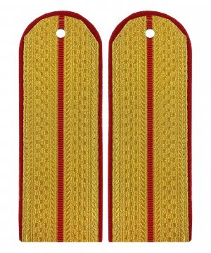 Превью Погоны парадные полиции один просвет &mdash; 1