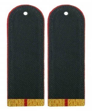 Превью Погоны парадные полиции один просвет &mdash; 2