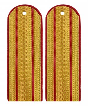 Превью Погоны полиции парадные два просвета &mdash; 1