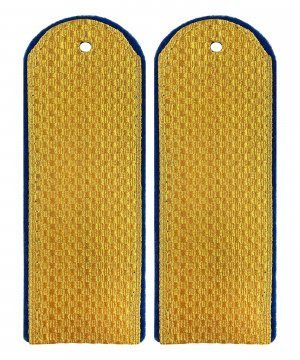 Превью Погоны парадные юстиции рядовой &mdash; 1