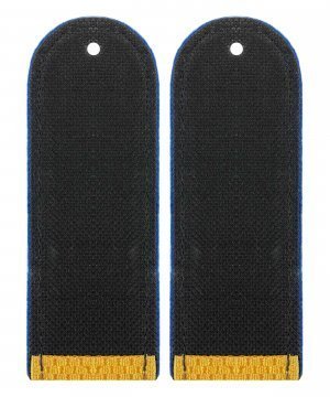 Превью Погоны парадные юстиции рядовой &mdash; 2