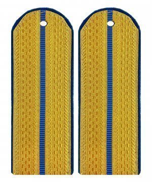 Превью Погоны парадные юстиции один просвет &mdash; 1