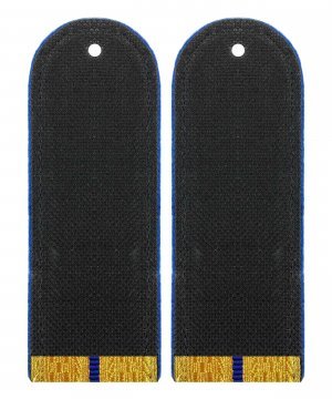 Превью Погоны парадные юстиции один просвет &mdash; 2