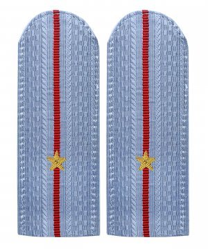 Превью Погоны полиции голубые младший лейтенант золото &mdash; 1