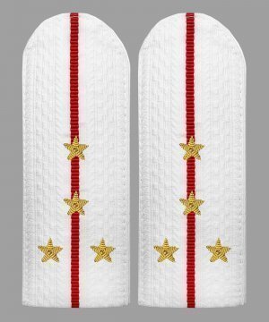 Превью Погоны полиции белые капитан золото &mdash; 1