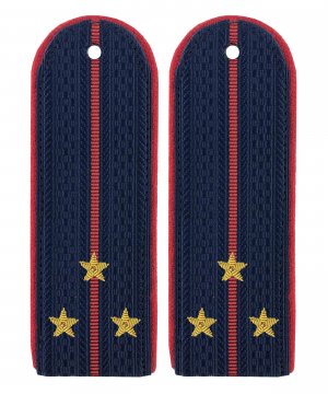 Превью Погоны полиции китель картонные старший лейтенант золото &mdash; 1