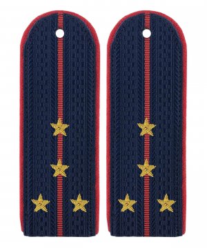 Превью Погоны полиции китель картонные капитан золото &mdash; 1