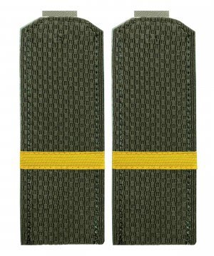 Превью Погоны китель ВС ефрейтор &mdash; 1
