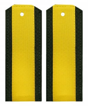 Превью Погоны китель ВС старшина &mdash; 1