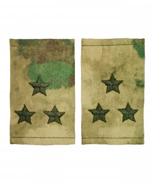 Фальшпогоны мох полковник &mdash; 1