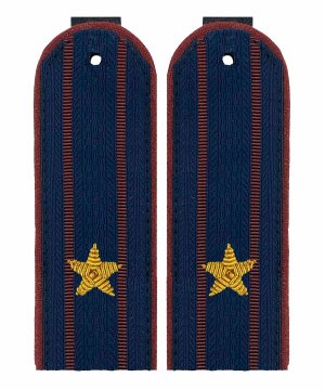 Превью Погоны ФСИН майор золото &mdash; 1
