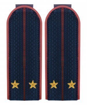 Превью Погоны ФСИН лейтенант картонные &mdash; 1
