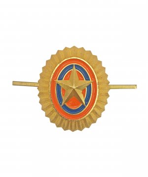 Кокарда МЧС нового образца &mdash; 1