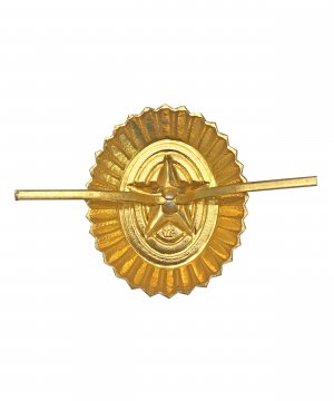 Кокарда МЧС нового образца &mdash; 2