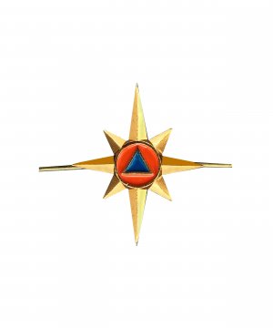 Превью Эмблема МЧС металлическая нового образца &mdash; 1