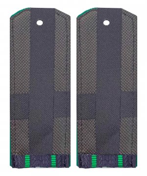 Превью Погоны пограничных войск два просвета картонные &mdash; 2