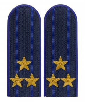 Погоны юстиции полковник золото &mdash; 1