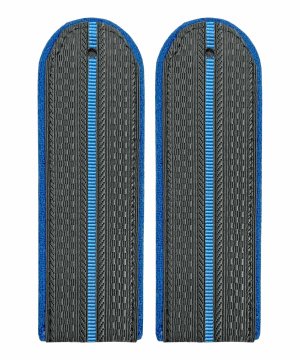 Превью Погоны ФССП один просвет картон &mdash; 1