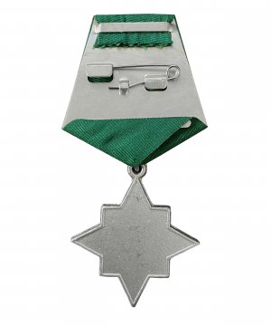 Превью Медаль "За пьянство" &mdash; 2