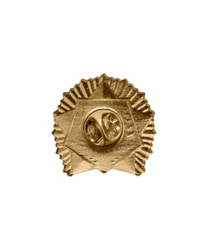 Превью Значок металлический "Кадет-спортсмен" 2 степени &mdash; 2